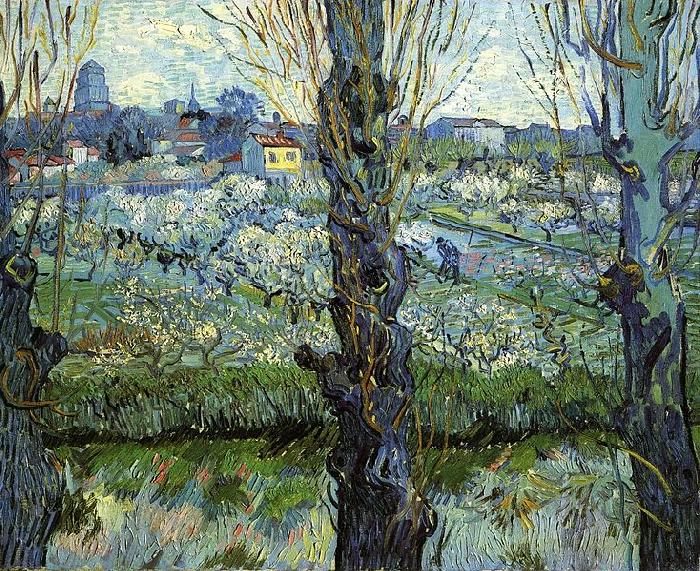 Vincent Van Gogh Orchard in Bloom with Poplars